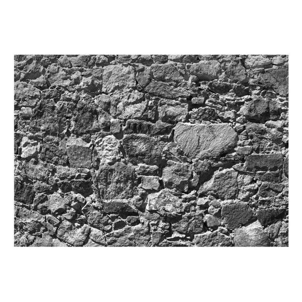 Loon Peak® Peel & Stick Wall Mural Wayfair